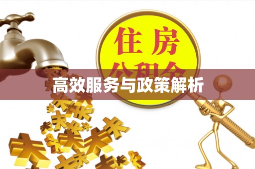洞头高效服务与政策解析