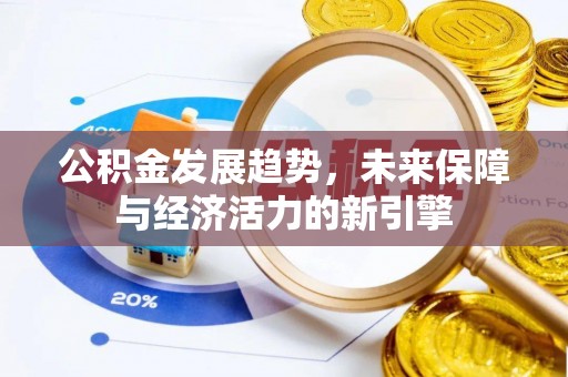 洞头公积金发展趋势，未来保障与经济活力的新引擎