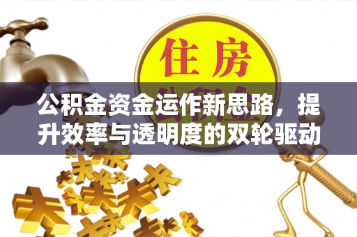 洞头公积金资金运作新思路，提升效率与透明度的双轮驱动