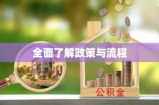 洞头全面了解政策与流程